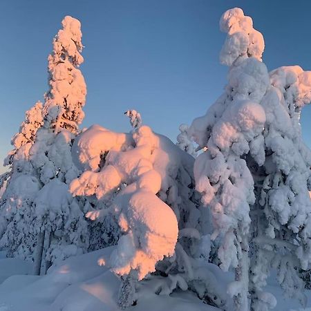 Stella Lapponia Two Floors 200 Sqm Daire Rovaniemi Dış mekan fotoğraf