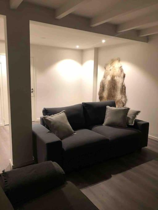 Stella Lapponia Two Floors 200 Sqm Daire Rovaniemi Dış mekan fotoğraf